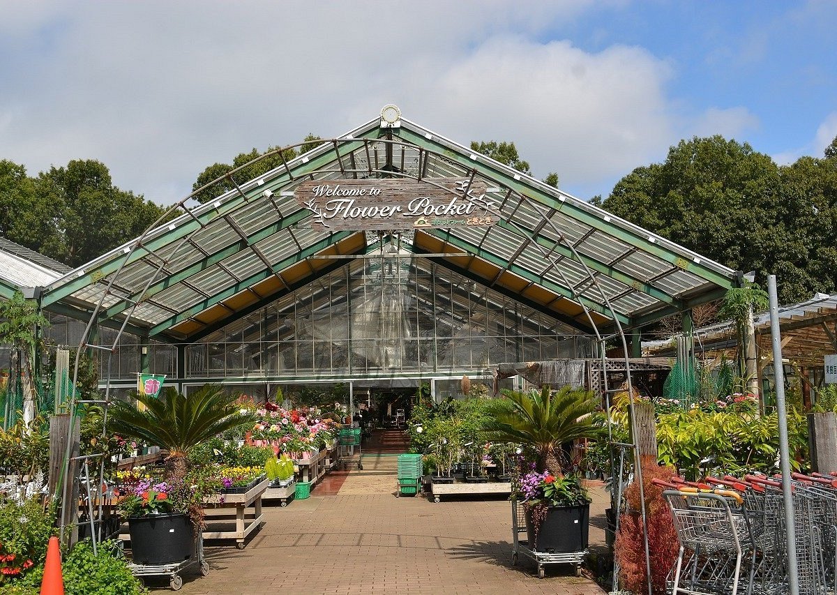 🛍️ 두근두근 포켓 농장 쓰쿠바 우시쿠점 (포켓토화-무도키도키 쓰쿠바우시쿠텐) 이미지 5